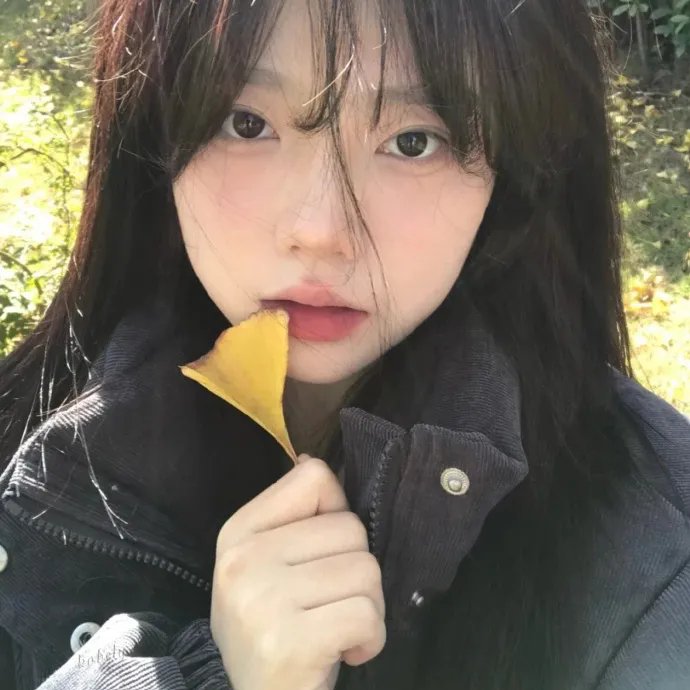 莺歌蝶恋